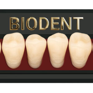 Prothèse dentaire acrylique inférieure, Laboratoire dentaire, Dent acrylique, Dent économique, superieur