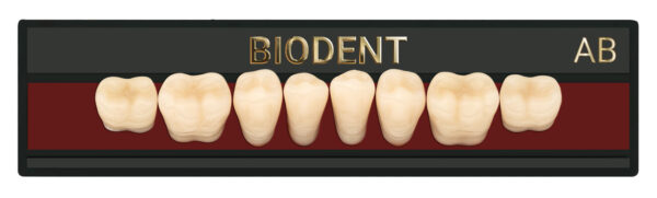 Prothèse dentaire acrylique inférieure, Laboratoire dentaire, Dent acrylique, Dent économique, superieur