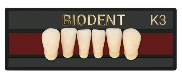 Prothèse dentaire acrylique antérieure inférieure, Laboratoire dentaire, Dent acrylique, Dent économique