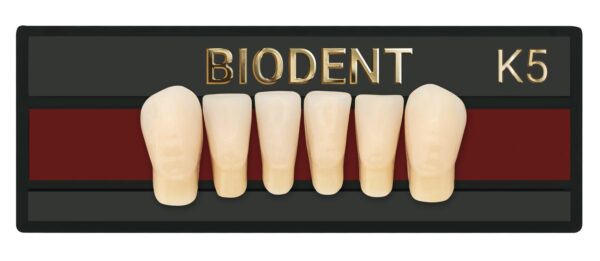 Prothèse dentaire acrylique antérieure inférieure, Laboratoire dentaire, Dent acrylique, Dent économique
