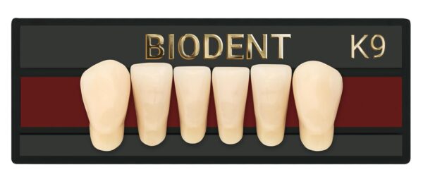 Prothèse dentaire acrylique antérieure inférieure, Laboratoire dentaire, Dent acrylique, Dent économique