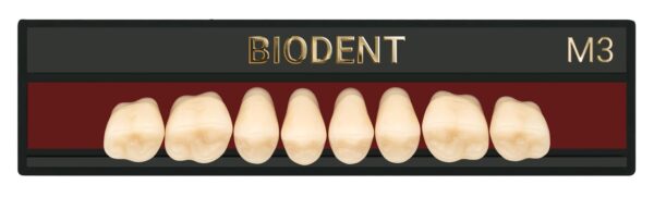 Prothèse dentaire acrylique inférieure, Laboratoire dentaire, Dent acrylique, Dent économique, superieur