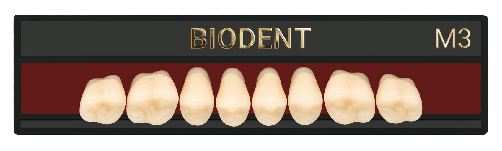 Prothèse dentaire acrylique inférieure, Laboratoire dentaire, Dent acrylique, Dent économique, superieur