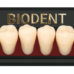Prothèse dentaire acrylique inférieure, Laboratoire dentaire, Dent acrylique, Dent économique, superieur