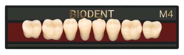 Prothèse dentaire acrylique inférieure, Laboratoire dentaire, Dent acrylique, Dent économique, superieur