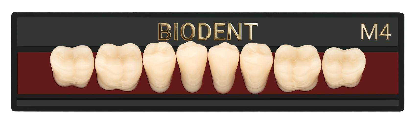 Prothèse dentaire acrylique inférieure, Laboratoire dentaire, Dent acrylique, Dent économique, superieur