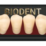 Prothèse dentaire acrylique inférieure, Laboratoire dentaire, Dent acrylique, Dent économique, superieur