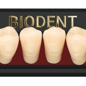 Prothèse dentaire acrylique inférieure, Laboratoire dentaire, Dent acrylique, Dent économique, superieur