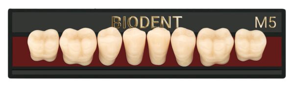 Prothèse dentaire acrylique inférieure, Laboratoire dentaire, Dent acrylique, Dent économique, superieur