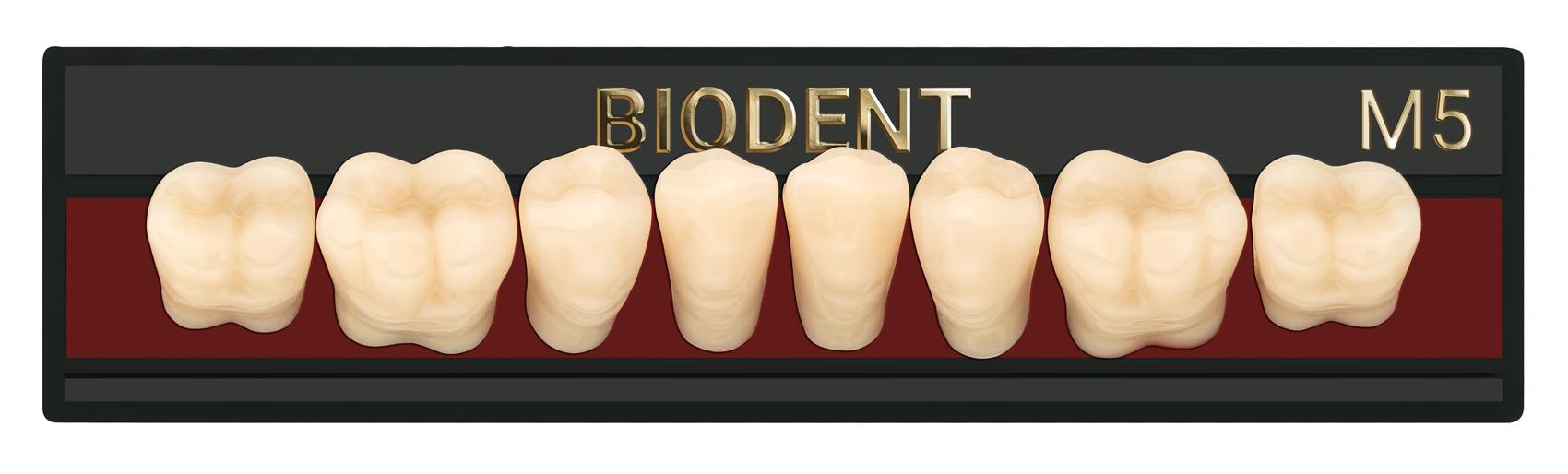 Prothèse dentaire acrylique inférieure, Laboratoire dentaire, Dent acrylique, Dent économique, superieur